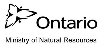 logo text: Ontario, Ministry of Natural Resources; image: triangular shape resembling leaves